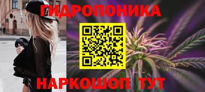ГАЛЛЮЦИНОГЕННЫЕ ГРИБЫ Лесосибирск