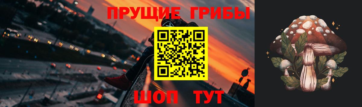 Псилоцибиновые грибы мицелий Советская Гавань